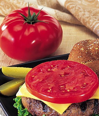 Burpee's Burger Hybrid Tomato